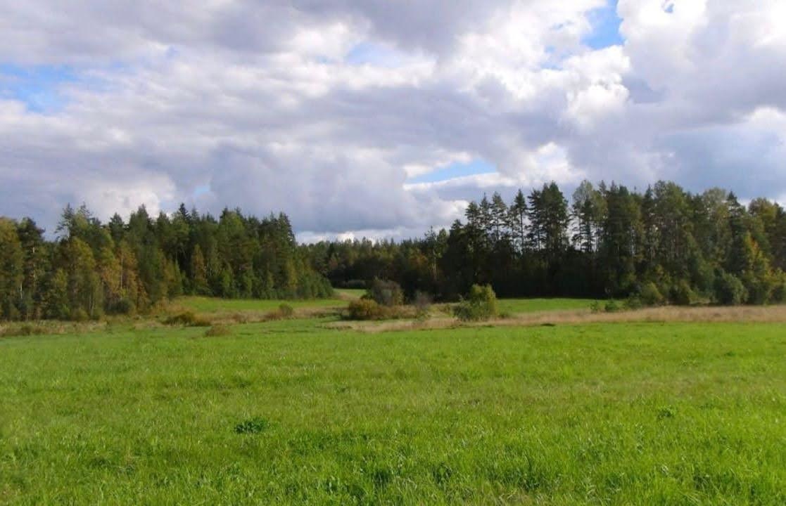 СХ Тосненский район 130 Га 
Массив Марьино уч Усадище 
Документы готовы 
Кадастровый номер по запр. 
